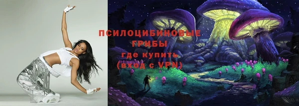 дмт Нягань