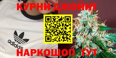 гидра Канаш