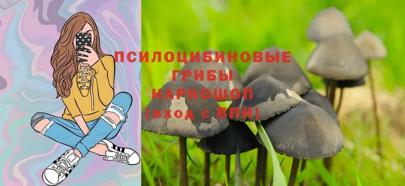 Галлюциногенные грибы Magic Shrooms  Ливны 