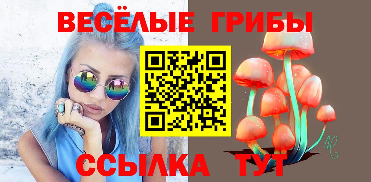 Псилоцибиновые грибы MAGIC MUSHROOMS  Вход с VPN  Галлюциногенные грибы мицелий  купить наркотик  Ливны 
